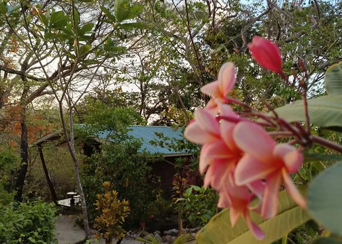 Baliyana Bed & Breakfast
